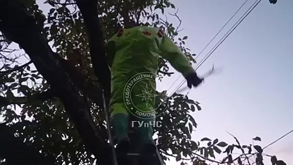 ��������� ��������� � ������������ ������� ������ ������� �� ����� � �����������