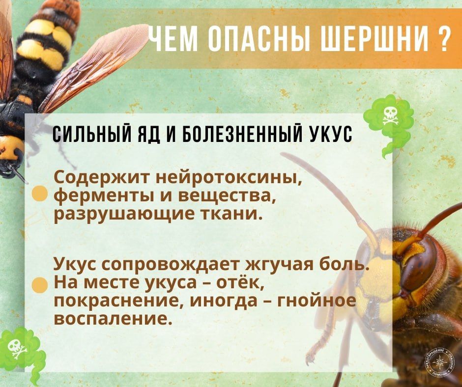  :   