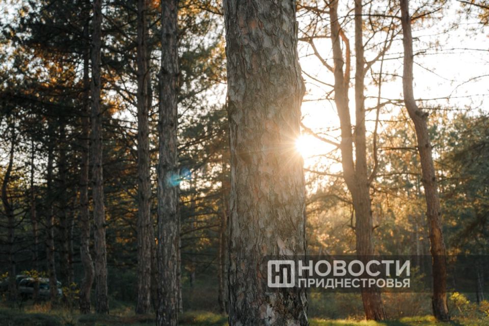 � ���������� ���� � �������������������� �������������� ������� ���������������� ��������