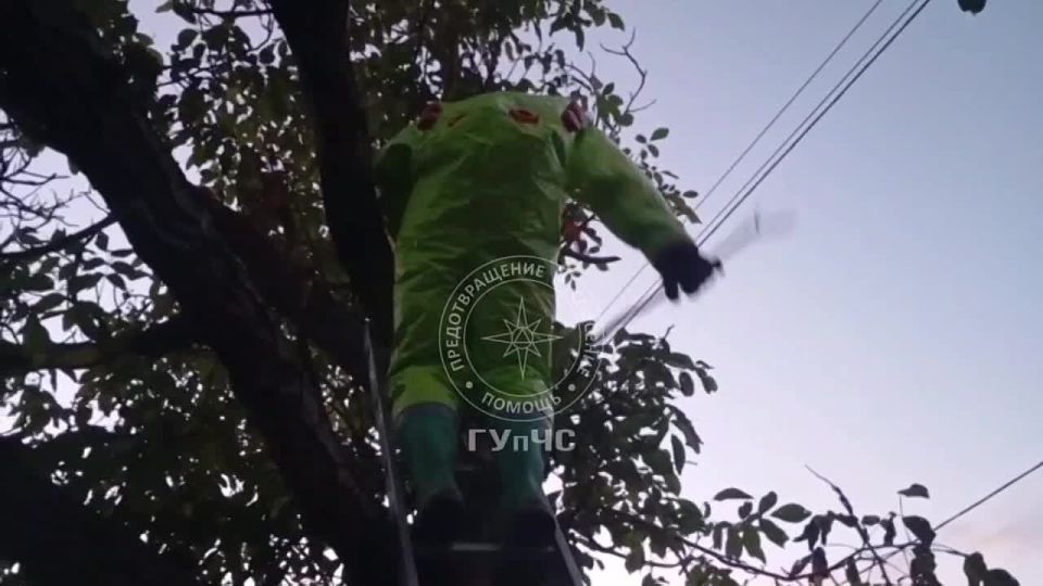 � ���� ������ ������ �������� ������ �� ������ �� ����� �����������