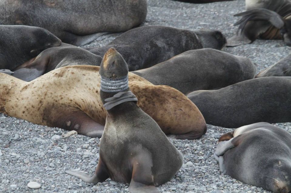 �� �������� ������� ����� ��� ���� ��� � ������ �� ���