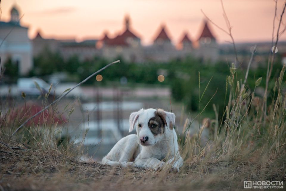 � �������� �������� ��������� �� ������������� ����������� ��������� ��������