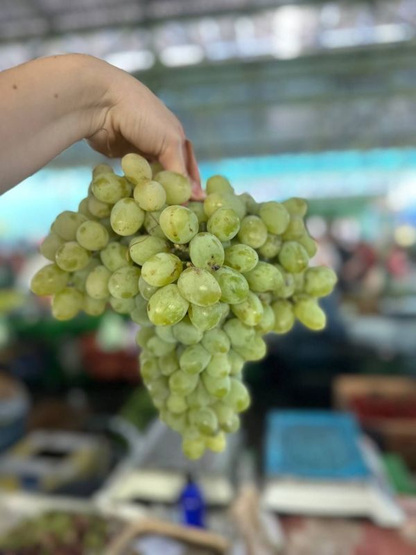 ����������������� ������ ��������� �� ������ �����