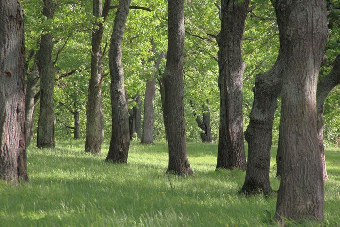 ��������������� ������� �� ���� ��� �������� ������ 57 �������� ���� - �������� 80 ���������� �����