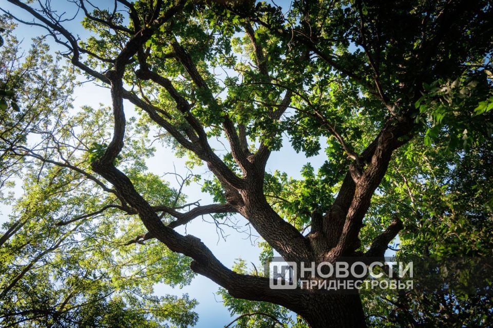 �� 2041 ���� � ������������� ����������� �������� ����� 250 �������� ������ � ��� ����� 1,7 �������� ������� �����