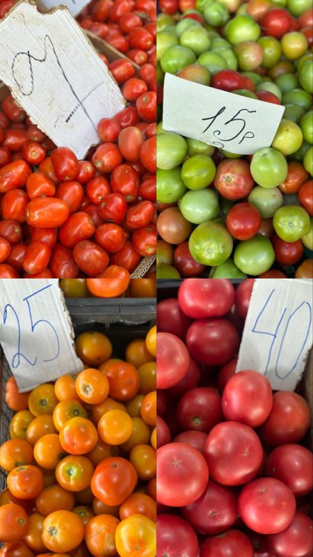 ������� ��� �� �������� ��������� �� ������������� ����� �� ����������� ����