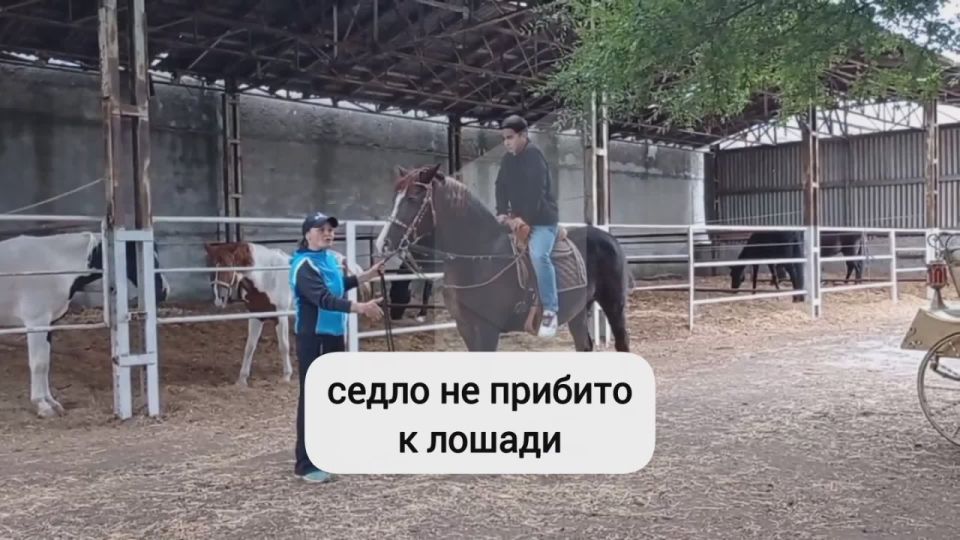 Школьники из Рыбницы покатались верхом на Кексе и Добрыне