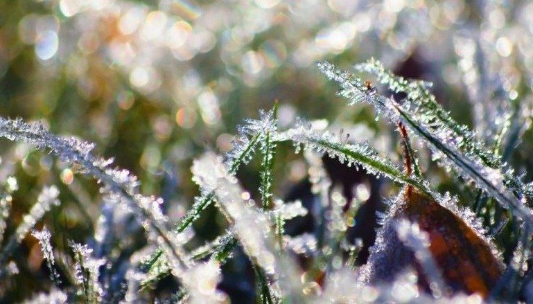 ��������� ��������������.. � ������ � 26 �� 28 �������� �� ���������� � �������� ���� ������� ��������� ��������� �� ����� �� -4�C