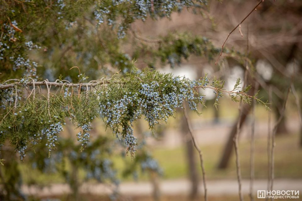 Осень пришла в Приднестровье