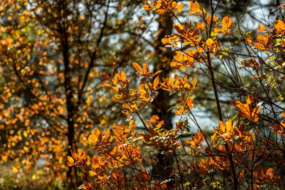 � ������������� ��������� ������������� �����