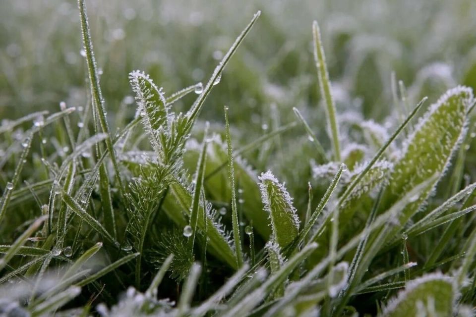 ����� � ������ ����� ����� ���������: � ������� � �� -1��, �� ����� � �� -3��