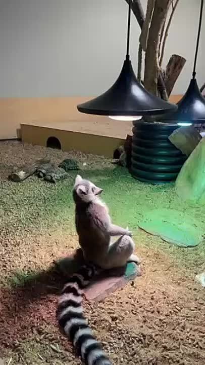 Дубак пришёл в Приднестровье