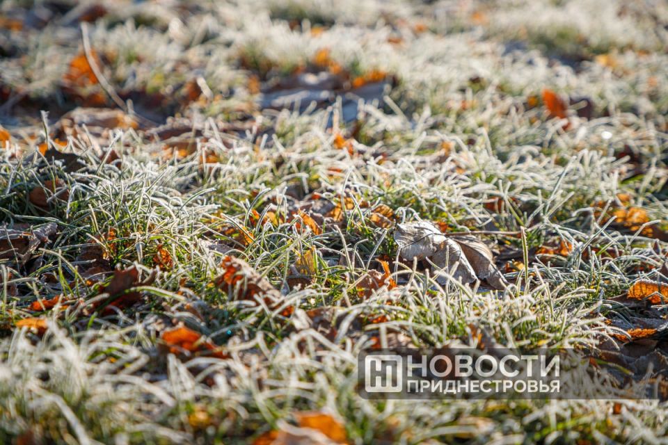 Ночью и утром 28 сентября ожидаются заморозки на почве до -3°С
