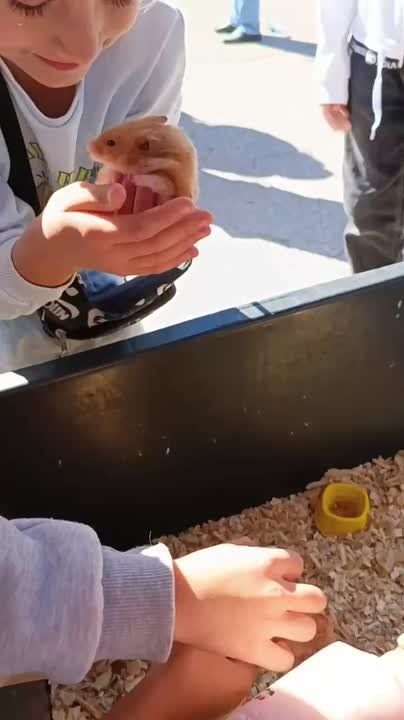 Контактный зоопарк приехал на праздник