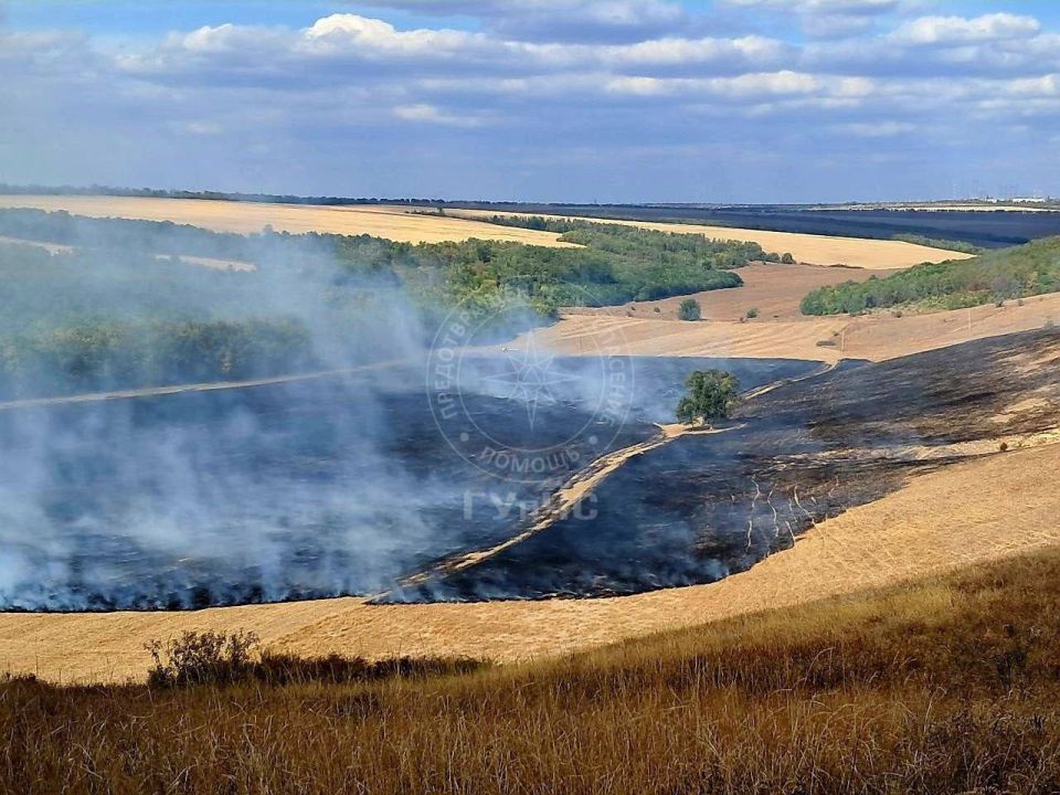 В Красном (Григориопольский район) пожарные, спасатели и местные жители тушат сухую траву