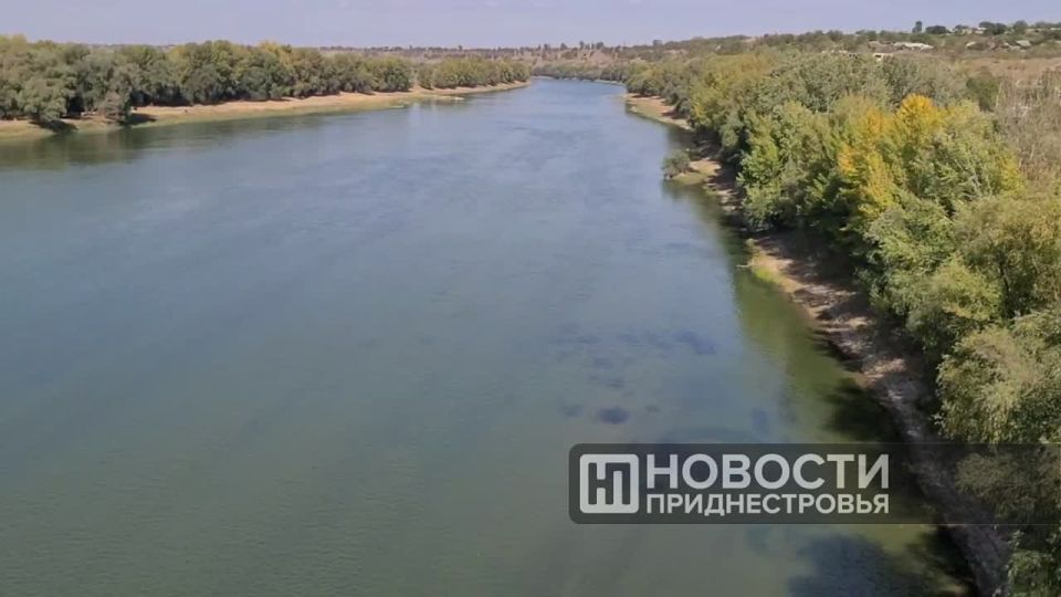Обмелевший Днестр в районе Бычка: дно видно по всей ширине реки