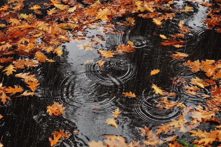 ������� ����� � ���� ��������� ������� �����