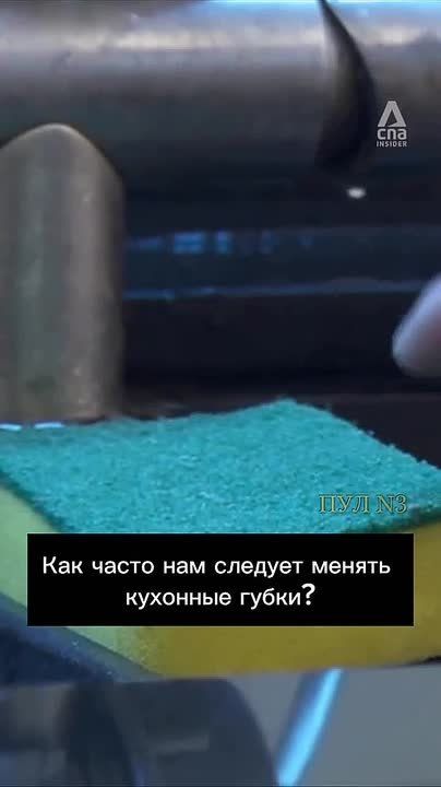      ,         :