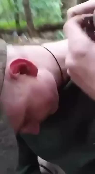   #
