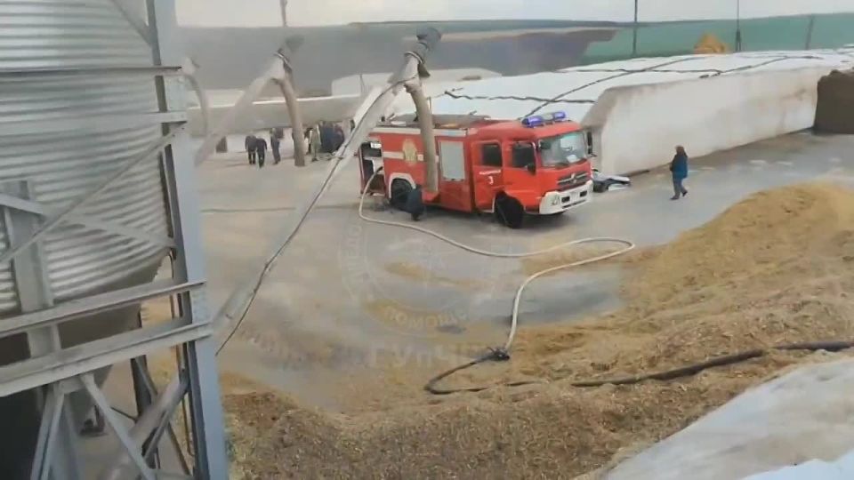 В Зозулянах на животноводческом комплексе загорелась электрощитовая в операторской кормоцеха