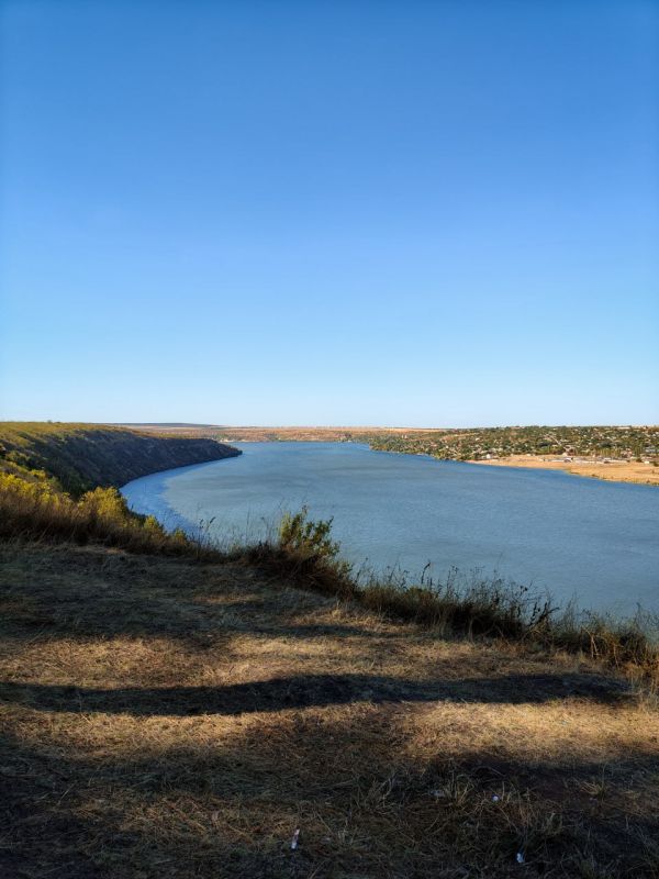 Упоительная хвойная дубрава на высоком берегу Днестра недалеко от села Роги в Дубоссарском районе