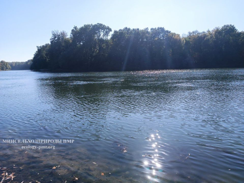 В реке Днестр уровень воды вырастет на 1,5–2,5 м