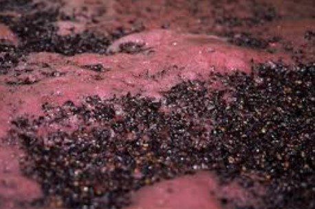 В винном погребе погиб гисчанин