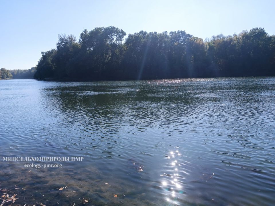 На Днестре ожидается подъем уровня воды до 2,5 метров