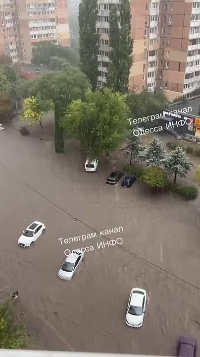   -     