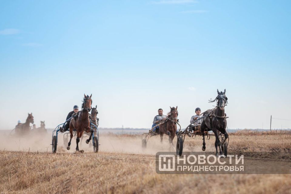 ������������ ��������� ������� ������� � ��������� 12 �������