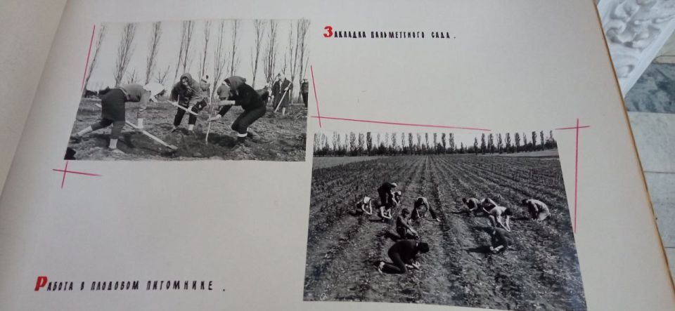 Об истории колледжа – в архивных фото