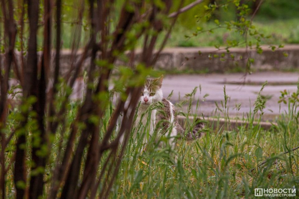 ������� ���� �� �������� ������� ����� �� ����� � ����� ������� �������� ����������� ������������� ������� ���������