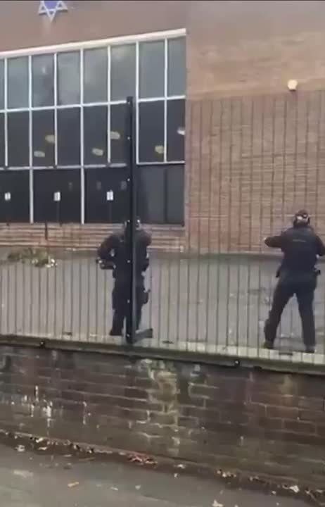          :  