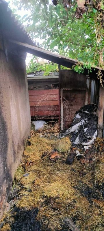 В Слободзее едва не сгорел курятник