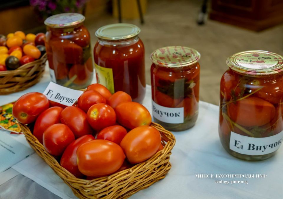 Томат «Внучок», огурец «Элин» и баклажан «Млечный путь» — в НИИ сельского хозяйства представили три гибрида на конкурс «Приднестровское качество»