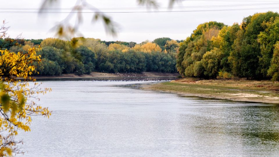 ����� ����������� � �������������: ���������, ����� � ���� ��� ������� ����