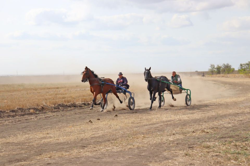 В воскресенье в Малаештах пройдут состязания орловских рысаков