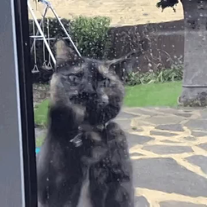   :        