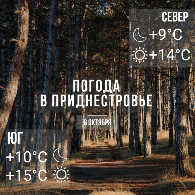 ����� ������� �����, ���� � �� +15��, ��������� �����