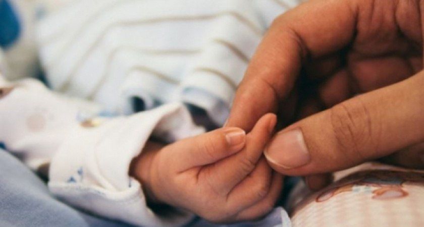 ������������� ������ �������: ������ � �������