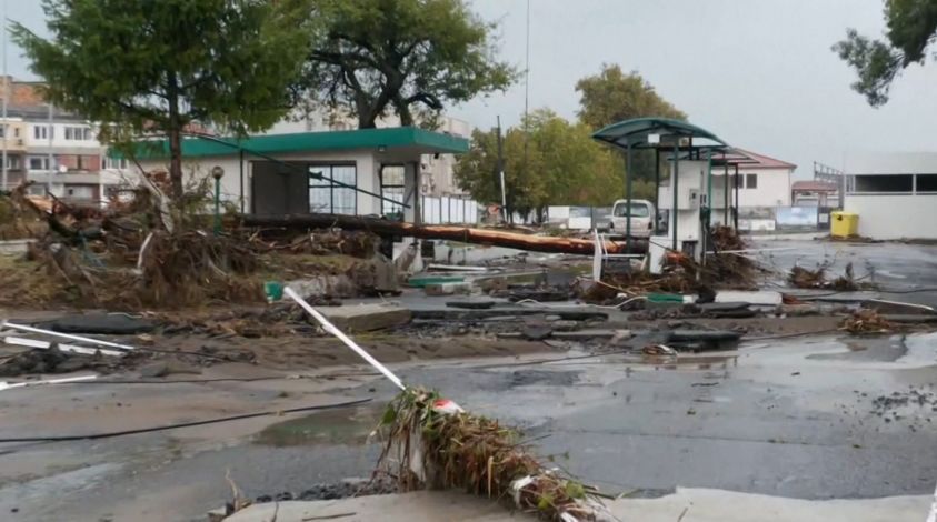 ����������� ����������� ������� � ��������