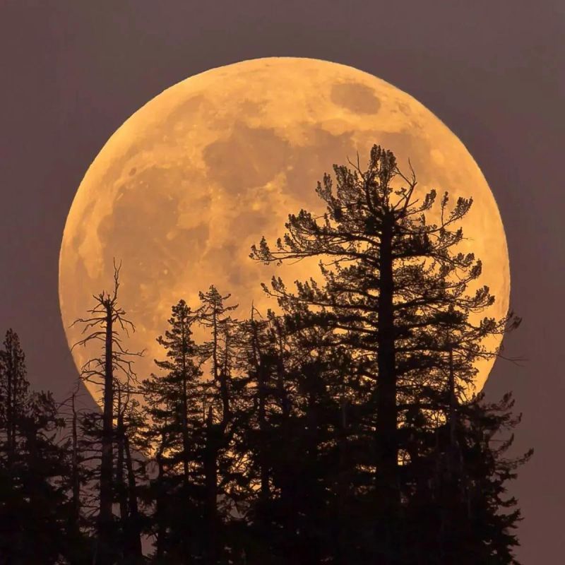 ������������� ��������� ������ ������� ���������� ��-�� ������