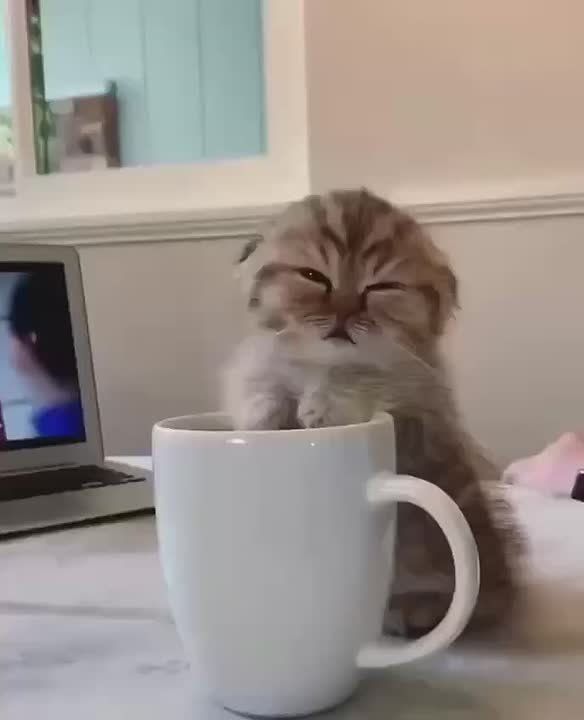  ,    !