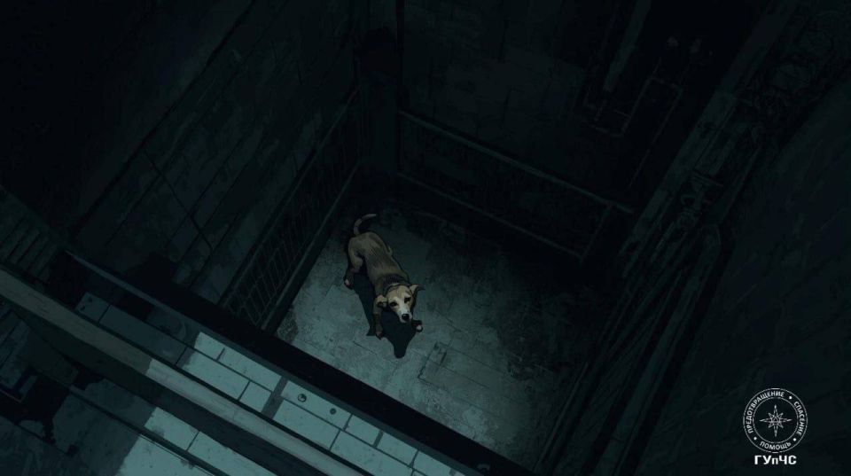 В Рыбнице спасатели вытащили собаку из шахты лифта заброшенной детской поликлиники