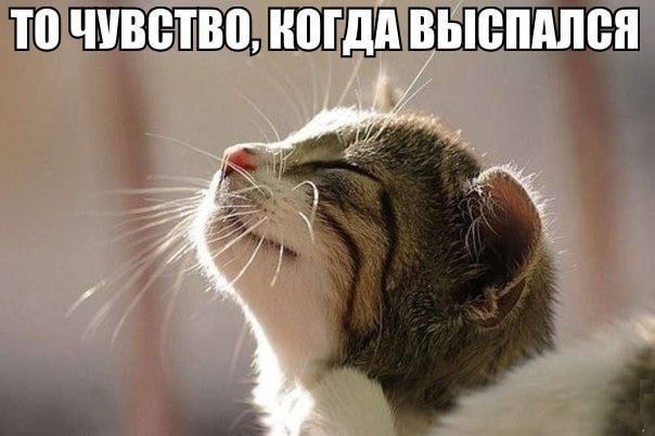 ����������� ������� � ������ ������ ��������