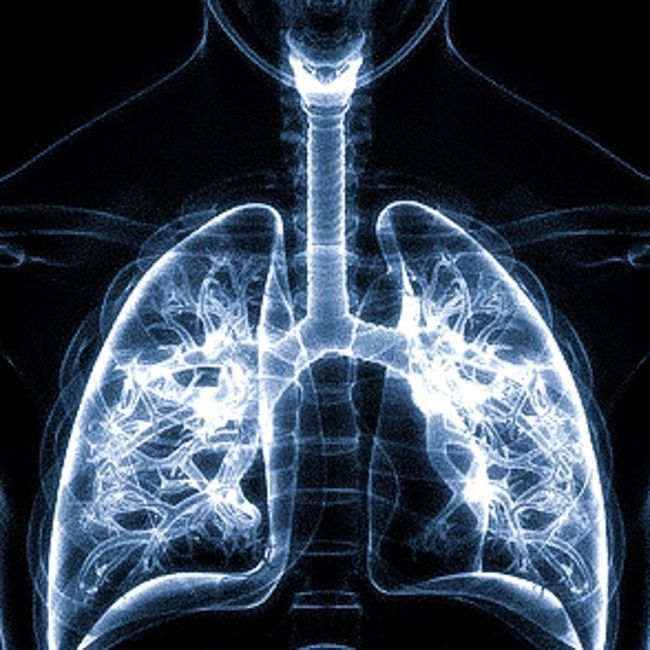 ��������� ����� �������� ����� ��������� ������������� ���������� �� 2026�2030 ����