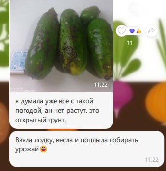 ��������������� ������� ����������, ��� ������ ���������� ����� � ����� �������� ������