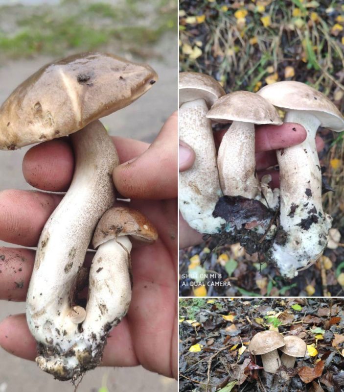 �������� ����� � ����: ������ ��������� ������ ��� ����� �����