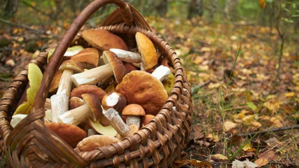 � ������� ������������ ������� ���������� �������