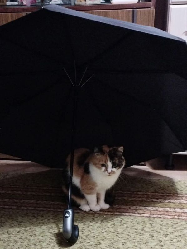 ������� ���������� ������������� ������� ��������� ����������� ������� ���� ������, ����� ������������� ��� ��������, � ��������� ��������: �� �����!�